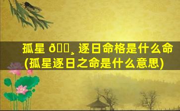 孤星 🌸 逐日命格是什么命(孤星逐日之命是什么意思)